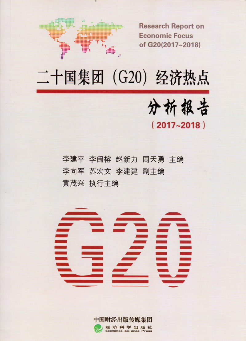 大鸡巴插骚穴网站二十国集团（G20）经济热点分析报告（2017-2018）